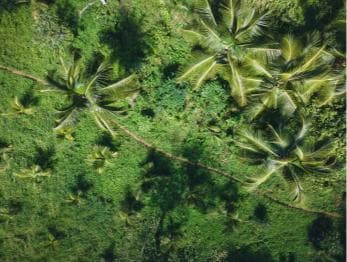 Sabana de la Mar: Los Haitises Guided Hike and Kayaking - sabana de la mar